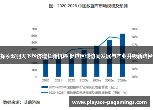 探索双羽天下经济增长新机遇 促进区域协同发展与产业升级新路径