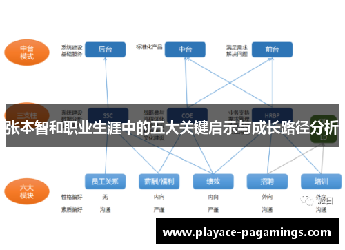 张本智和职业生涯中的五大关键启示与成长路径分析