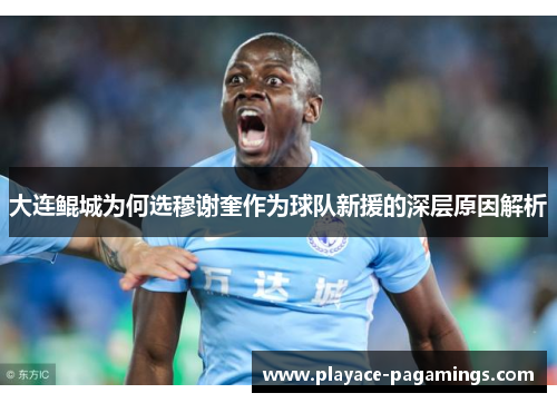 大连鲲城为何选穆谢奎作为球队新援的深层原因解析