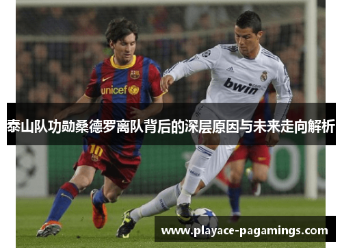 泰山队功勋桑德罗离队背后的深层原因与未来走向解析