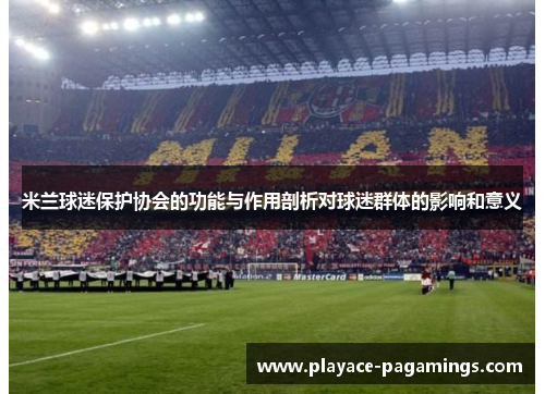 米兰球迷保护协会的功能与作用剖析对球迷群体的影响和意义