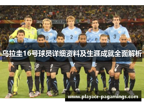 乌拉圭16号球员详细资料及生涯成就全面解析