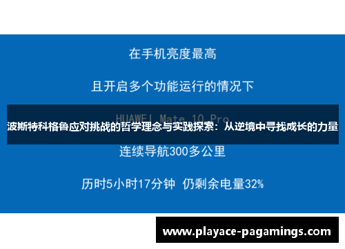 波斯特科格鲁应对挑战的哲学理念与实践探索：从逆境中寻找成长的力量