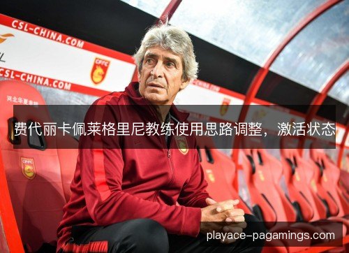 费代丽卡佩莱格里尼教练使用思路调整，激活状态